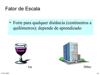 Fator de Escala Forte para qualquer distância (centímetros a quilômetros); depende de aprendizado 1m 500m 