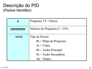 Descrição do PID  (Packet Identifier) Tipo de Pacote:  0h = Mapa de Programa 1h = Vídeo 4h = Áudio Principal 5h = Áudio Secundário Ah = Dados    tttt Número do Programa (1 - 255) pppppppp Programa TV / Outros x 