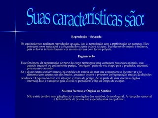 Reprodução – Sexuada Os equinodermos realizam reprodução sexuada, isto é, reprodução com a participação de gametas. Eles possuem sexos separados e a fecundação externa ocorre na água. Seu desenvolvimento é indireto, pois as larvas se transformam em animais jovens com forma própria. Regeneração Esse fenômeno de regeneração de parte do corpo representa uma vantagem para esses animais, que, quando atacados ou em iminente perigo, "entregam" parte do seu corpo para o predador, enquanto procuram se esconder. Se o disco central estiver intacto, há espécies de estrela-do-mar que conseguem se locomover e se alimentar com apenas um dos braços, enquanto ocorre o processo de regeneração através de divisões  celulares. O pepino-do-mar, em situação extrema de perigo, deixa parte de suas visceras (órgãos internos). Isso é vantajoso pois distrai os predadores e lhe dá tempo de escapar. Sistema Nervoso e Órgãos do Sentido Não existe cérebro nem gânglios, tal como órgãos dos sentidos, de modo geral. A recepção sensorial é feita através de células não especializadas da epiderme. Suas características são: 