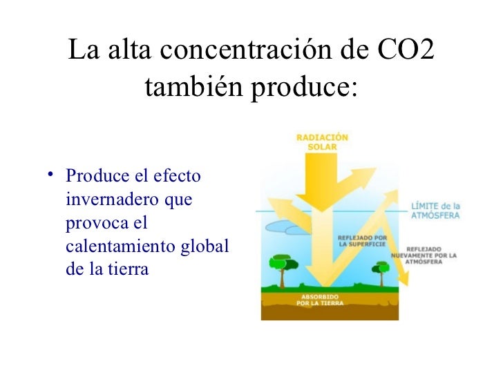 SI NO CUIDAMOS DEL MEDIO AMBIENTE... SI NO CUIDAMOS DEL MEDIO AMBIENTE...