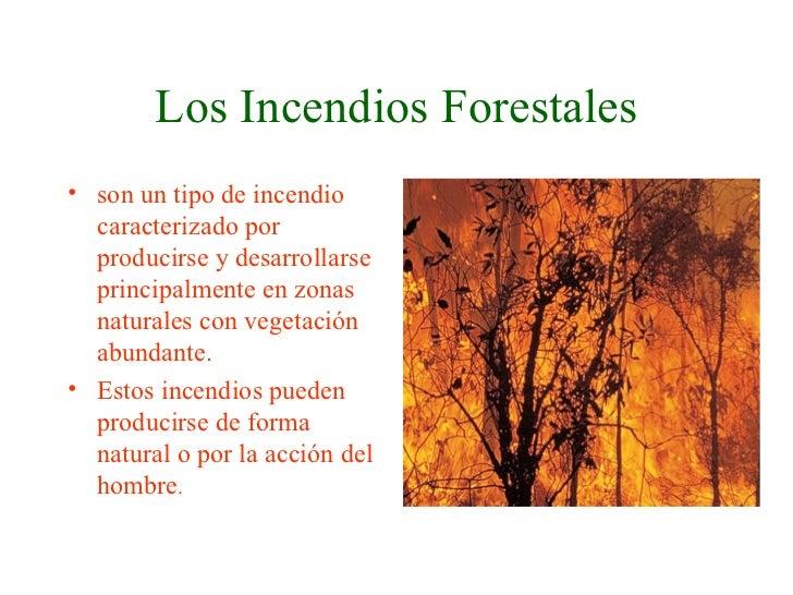 SI NO CUIDAMOS DEL MEDIO AMBIENTE... SI NO CUIDAMOS DEL MEDIO AMBIENTE...