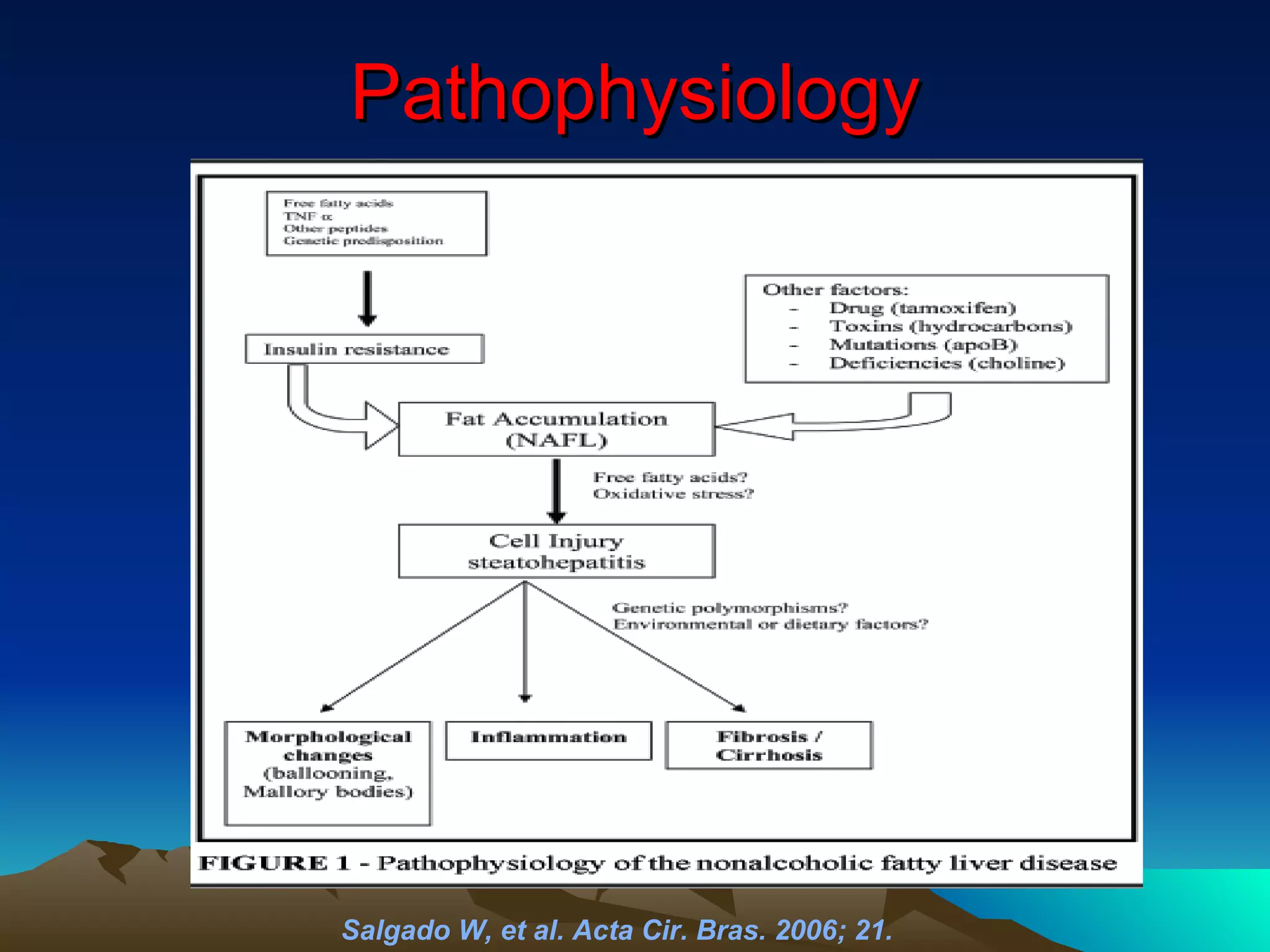 Pathophysiology Salgado W, et al. Acta Cir. Bras. 2006; 21.   