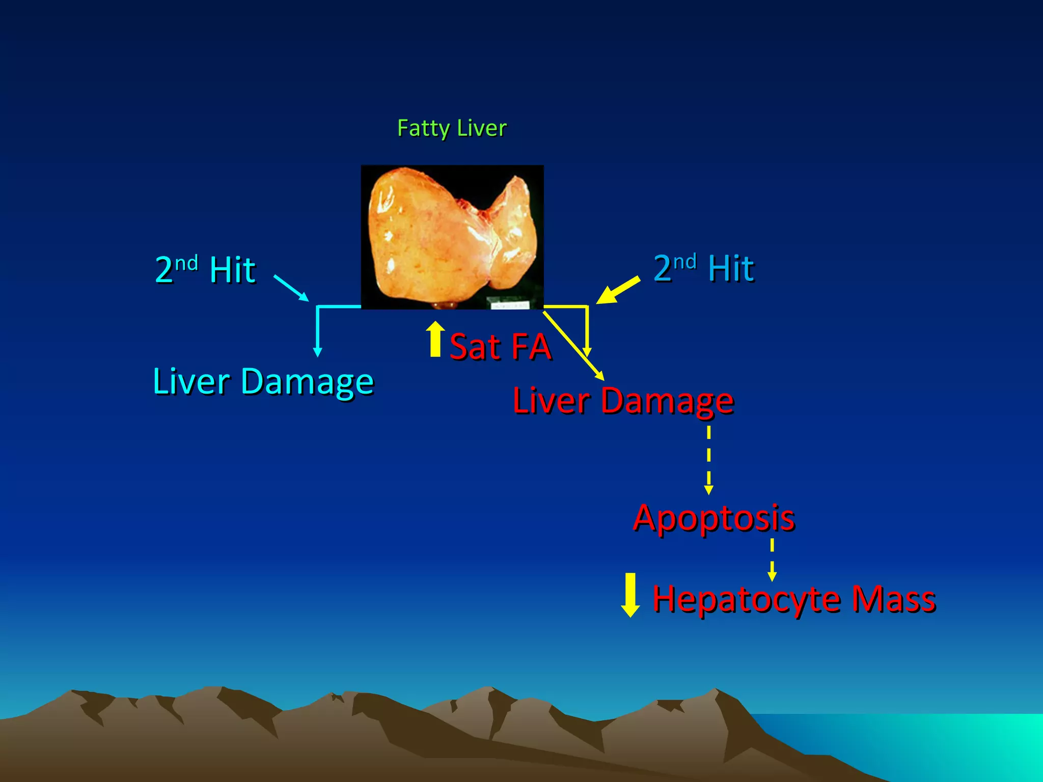 Liver Damage 2 nd  Hit Liver Damage Sat FA 2 nd  Hit Apoptosis Hepatocyte Mass  Fatty Liver  