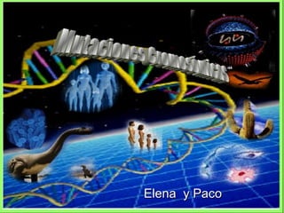 Elena  y Paco  Mutaciones Cromosómicas 