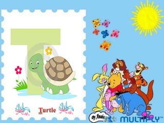 Turtle
