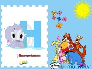 Hippopotamus