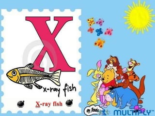 X-ray fish