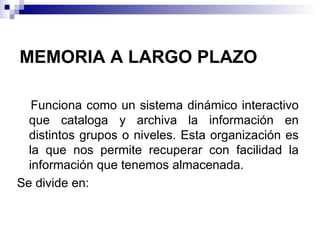 MEMORIA A LARGO PLAZO Funciona como un sistema dinámico interactivo que cataloga y archiva la información en distintos grupos o niveles. Esta organización es la que nos permite recuperar con facilidad la información que tenemos almacenada. Se divide en: 