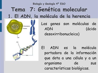 Biología y Geología 4º ESO Tema  7: Genética molecular 1. El ADN, la molécula de la herencia Los genes son moléculas de ADN (ácido desoxirribonucleico) El ADN es la molécula portadora de la información que dota a una célula y a un organismo de sus características biológicas. 