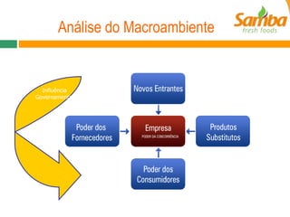 Análise do Macroambiente Influência Governamental 