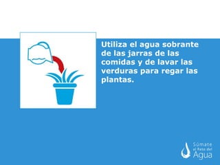 Utiliza el agua sobrante de las jarras de las comidas y de lavar las verduras para regar las plantas. 