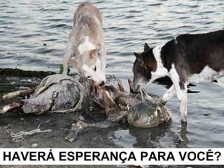 HAVERÁ ESPERANÇA PARA VOCÊ? 