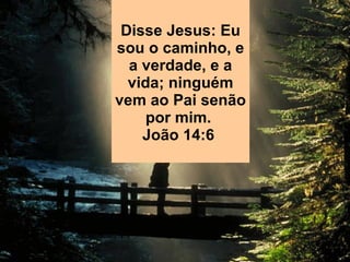 Disse Jesus: Eu sou o caminho, e a verdade, e a vida; ninguém vem ao Pai senão por mim.  João 14:6  