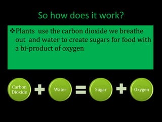 Is essential to human life