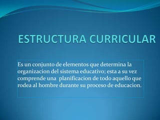 ESTRUCTURA CURRICULAR Es un conjunto de elementos que determina la organizacion del sistema educativo; esta a su vez comprende una  planificacion de todo aquello que rodea al hombre durante su proceso de educacion. 