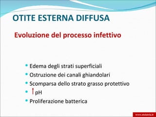 OTITE ESTERNA DIFFUSA
Evoluzione del processo infettivo


    Edema degli strati superficiali
    Ostruzione dei canali ghiandolari
    Scomparsa dello strato grasso protettivo
      pH
    Proliferazione batterica

                                                www.otoiatria.it
 