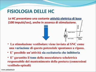 FISIOLOGIA DELLE HC Le HC presentano una costante  attività elettrica di base   (100 impulsi/sec), anche in assenza di stimolazione. La stimolazione vestibolare viene inviata al SNC come  una  variazione  di questo potenziale spontaneo a riposo. E’ possibile un’attività  sia eccitatoria che inibitoria E’ garantito il  tono  della muscolatura scheletrica responsabile del mantenimento della postura (connessioni vestibolo-spinali) www.otoiatria.it 