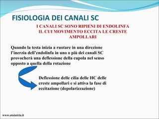 FISIOLOGIA DEI CANALI SC Deflessione delle cilia delle HC delle creste ampollari e si attiva la fase di eccitazione (depolarizzazione) Quando la testa inizia a ruotare in una direzione l’inerzia dell’endolinfa in uno o più dei canali SC provocherà una deflessione della cupola nel senso opposto a quella della rotazione I CANALI SC SONO RIPIENI DI ENDOLINFA IL CUI MOVIMENTO ECCITA LE CRESTE AMPOLLARI www.otoiatria.it 