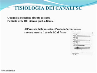 FISIOLOGIA DEI CANALI SC All’arresto della rotazione l’endolinfa continua a ruotare mentre il canale SC si ferma Quando la rotazione diventa costante l’attività delle HC ritorna quella di base www.otoiatria.it 