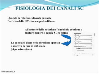 FISIOLOGIA DEI CANALI SC All’arresto della rotazione l’endolinfa continua a ruotare mentre il canale SC si ferma La cupola si piega nella direzione opposta e si attiva la fase di inibizione (ripolarizzazione) Quando la rotazione diventa costante l’attività delle HC ritorna quella di base www.otoiatria.it 