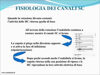 FISIOLOGIA DEI CANALI SC All’arresto della rotazione l’endolinfa continua a ruotare mentre il canale SC si ferma La cupola si piega nella direzione opposta e si attiva la fase di inibizione (ripolarizzazione) Dopo pochi secondi anche l’endolinfa si ferma, la cupola ritorna nella sua posizione di riposo e le HC riprendono la loro attività elettrica di base Quando la rotazione diventa costante l’attività delle HC ritorna quella di base www.otoiatria.it 