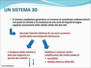 UN SISTEMA 3D Il sistema vestibolare garantisce un insieme di coordinate tridimensionali nel quale lo stimolo è la risultanza di una serie di impulsi di segno opposto provenienti dalle cellule ciliate dei due lati Quando l’attività elettrica di una serie aumenta, quella della controlaterale diminuisce L’ampiezza dello stimolo è data dal rapporto tra queste due attività  Stabilizza il sistema contro modificazioni del livello  totale  di sensibilità  attività elettrica delle HCs www.otoiatria.it 