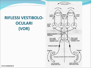 RIFLESSI VESTIBOLO-OCULARI (VOR) www.otoiatria.it 