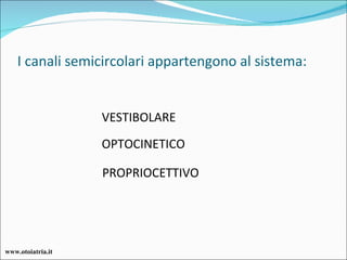 I canali semicircolari appartengono al sistema: VESTIBOLARE OPTOCINETICO PROPRIOCETTIVO www.otoiatria.it 