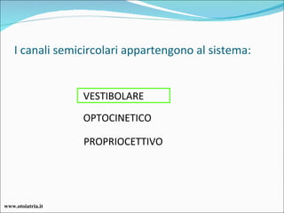 I canali semicircolari appartengono al sistema: VESTIBOLARE OPTOCINETICO PROPRIOCETTIVO www.otoiatria.it 