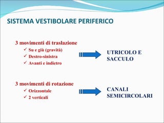 3 movimenti di traslazione Su e giù (gravità) Destro-sinistra  Avanti e indietro 3 movimenti di rotazione Orizzontale 2 verticali SISTEMA VESTIBOLARE PERIFERICO UTRICOLO E SACCULO CANALI SEMICIRCOLARI 