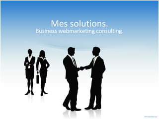 Mes solutions. Business webmarketing consulting. 
