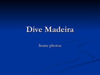 Dive Madeira Some photos 