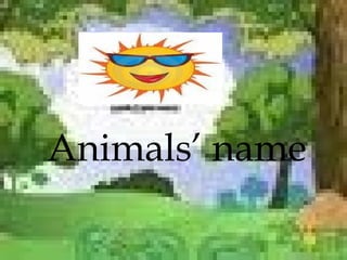 Animals’ name  