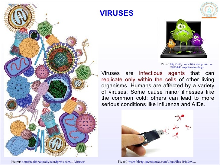 Virus and Cancer