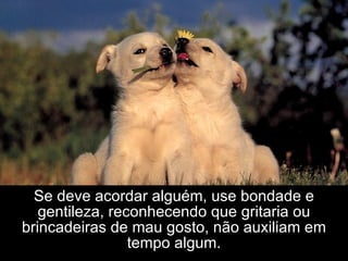 Se deve acordar alguém, use bondade e gentileza, reconhecendo que gritaria ou brincadeiras de mau gosto, não auxiliam em tempo algum. 