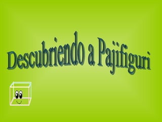 Descubriendo a Pajifiguri 