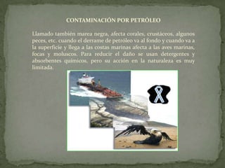 CONTAMINACIÓN POR PETRÓLEOLlamado también marea negra, afecta corales, crustáceos, algunos peces, etc. cuando el derrame de petróleo va al fondo y cuando va a la superficie y llega a las costas marinas afecta a las aves marinas, focas y moluscos. Para reducir el daño se usan detergentes y absorbentes químicos, pero su acción en la naturaleza es muy limitada.