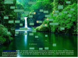 -  Ecosistemas acu á ticos : La principal ventaja de los ecosistemas acu á ticos es su menor dependencia con respecto a la temperatura que  no limita tanto la permanencia de los individuos.  Las principales desventajas de los ecosistemas acu á ticos son la falta de nutrientes, la falta de ox í geno y la falta de luz a medida que aumenta la profundidad.  