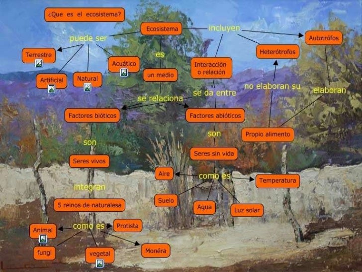 CLASIFICACION DE LOS ECOSISTEMAS