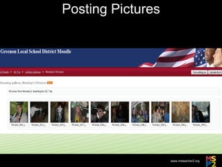 Posting Pictures 