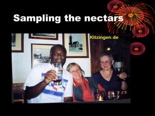 Sampling the nectars
 