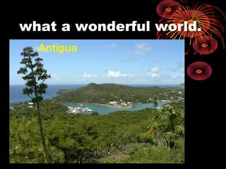 what a wonderful world.
 