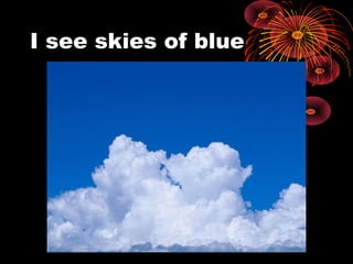 I see skies of blue
 