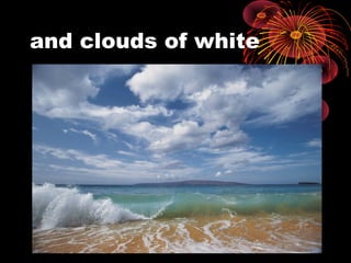 and clouds of white
 