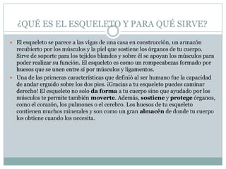 ¿QUÉ ES EL ESQUELETO Y PARA QUÉ SIRVE?El esqueleto se parece a las vigas de una casa en construcción, un armazón recubierto por los músculos y la piel que sostiene los órganos de tu cuerpo. Sirve de soporte para los tejidos blandos y sobre él se apoyan los músculos para poder realizar su función. El esqueleto es como un rompecabezas formado por huesos que se unen entre sí por músculos y ligamentos.Una de las primeras características que definió al ser humano fue la capacidad de andar erguido sobre los dos pies. ¡Gracias a tu esqueleto puedes caminar derecho! El esqueleto no solo da forma a tu cuerpo sino que ayudado por los músculos te permite también moverte. Además, sostiene y protege órganos, como el corazón, los pulmones o el cerebro. Los huesos de tu esqueleto contienen muchos minerales y son como un gran almacén de donde tu cuerpo los obtiene cuando los necesita.