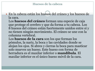 Huesos de la cabezaEn la cabeza están los huesos del cráneo y los huesos de la cara.Los huesos del cráneo forman una especie de caja que protege el cerebro y que da forma a tu cabeza. Los 8 huesos del cráneo están fuertemente unidos entre sí y no tienen ningún movimiento. El cráneo se une con la columna vertebral.Los huesos de la cara son los que forman los pómulos, la nariz, la boca y las cavidades donde se alojan los ojos. Si abres y cierras la boca para masticar solo mueves un hueso. Este hueso con forma de herradura es el maxilar inferior o mandíbula. El maxilar inferior es el único hueso móvil de la cara.