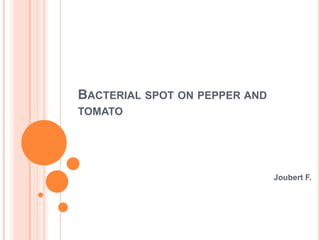 Bacterial spot on pepper and tomato Joubert F. 