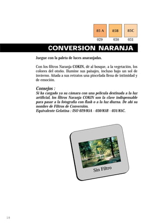 CONVERSION NARANJA
     Juegue con la paleta de luces anaranjadas.

     Con los filtros Naranja COKIN, dé al bosque, a la vegetación, los
     colores del otoño. Ilumine sus paisajes, incluso bajo un sol de
     invierno. Añada a sus retratos una pincelada llena de intimidad y
     de emoción.

     Consejos :
     Si ha cargado ya su cámara con una película destinada a la luz
     artificial, los filtros Naranja COKIN son la clave indispensable
     para pasar a la fotografía con flash o a la luz diurna. De ahí su
     nombre de Filtros de Conversión.
     Equivalente Gelatina : ISO 029/85A - 030/85B - 031/85C.




                                                  ro
                                          Sin Filt




18
 