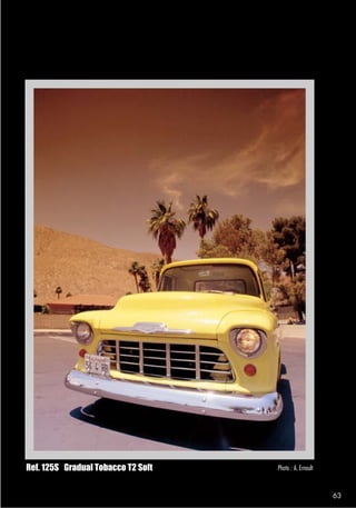 Ref. 125S Gradual Tobacco T2 Soft   Photo : A. Ernoult



                                                         63
 
