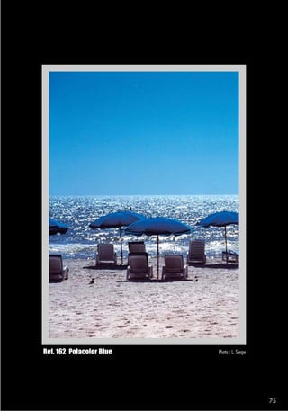 Ref. 162 Polacolor Blue   Photo : L. Sierpe




                                              75
 